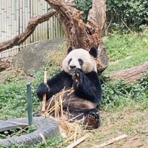 Export Team Building Carnival: Exploring the Zoo! Export Team Building Carnival: Exploring the Zoo!