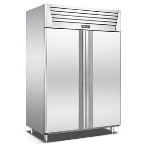 stand up deep freezer dual temperature control BGD32L2F